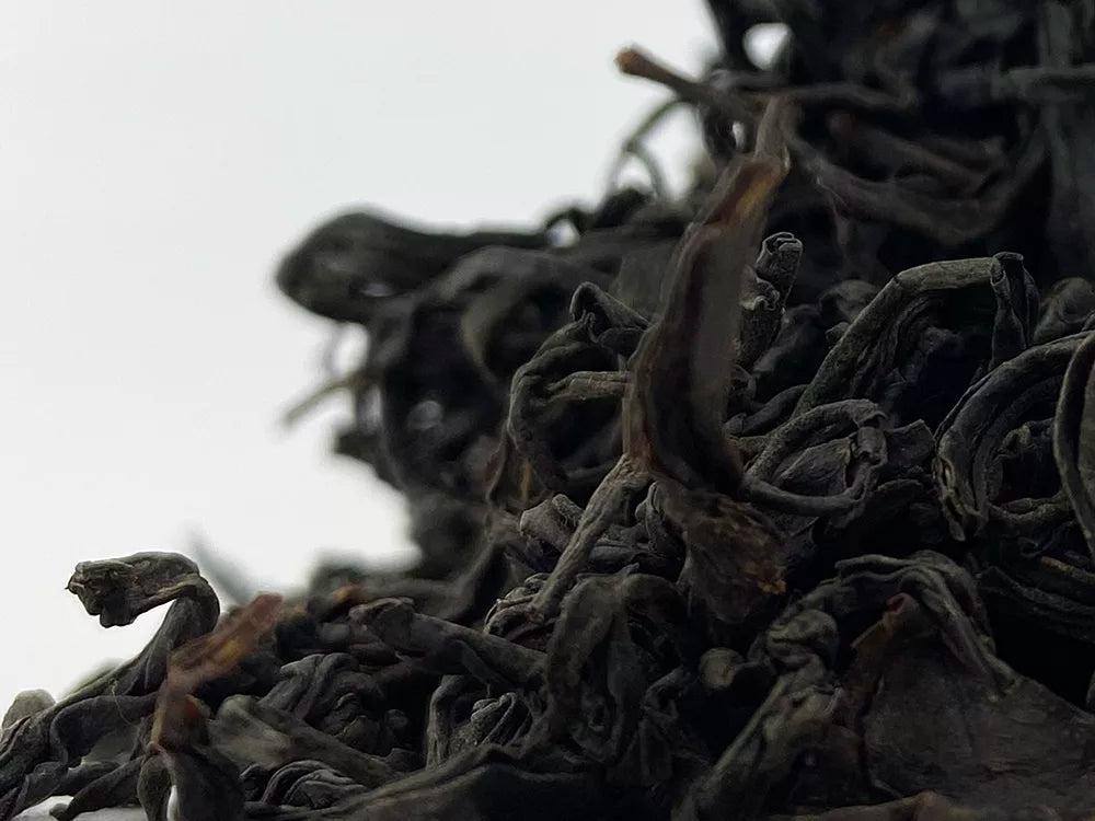 Nilgiri orchidea. 50 gr